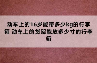 动车上的16岁能带多少kg的行李箱 动车上的货架能放多少寸的行李箱